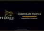 design professional company or corporate profile